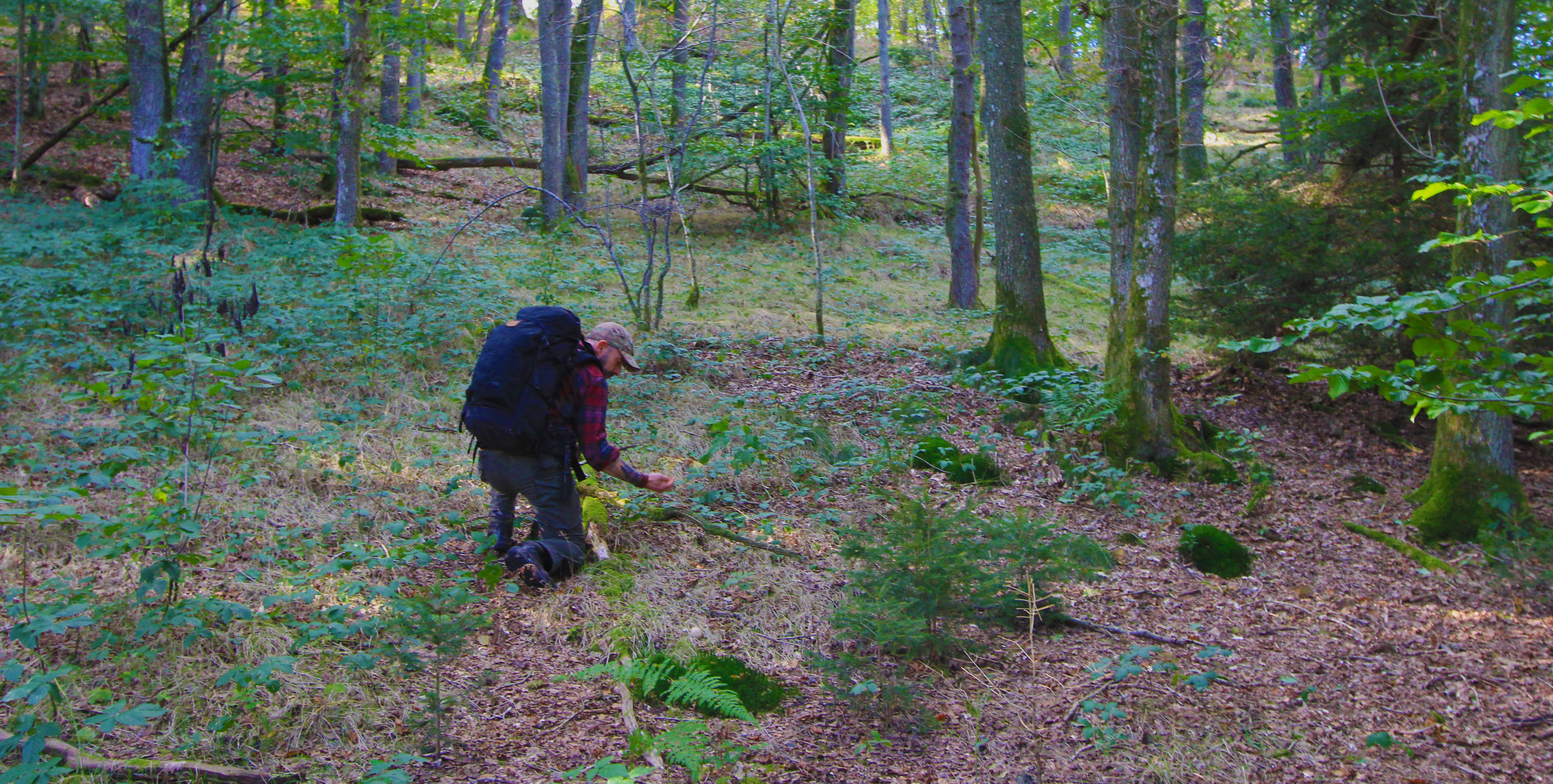Choix d’un couteau en milieu naturel